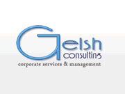 Gelsh Consulting - 